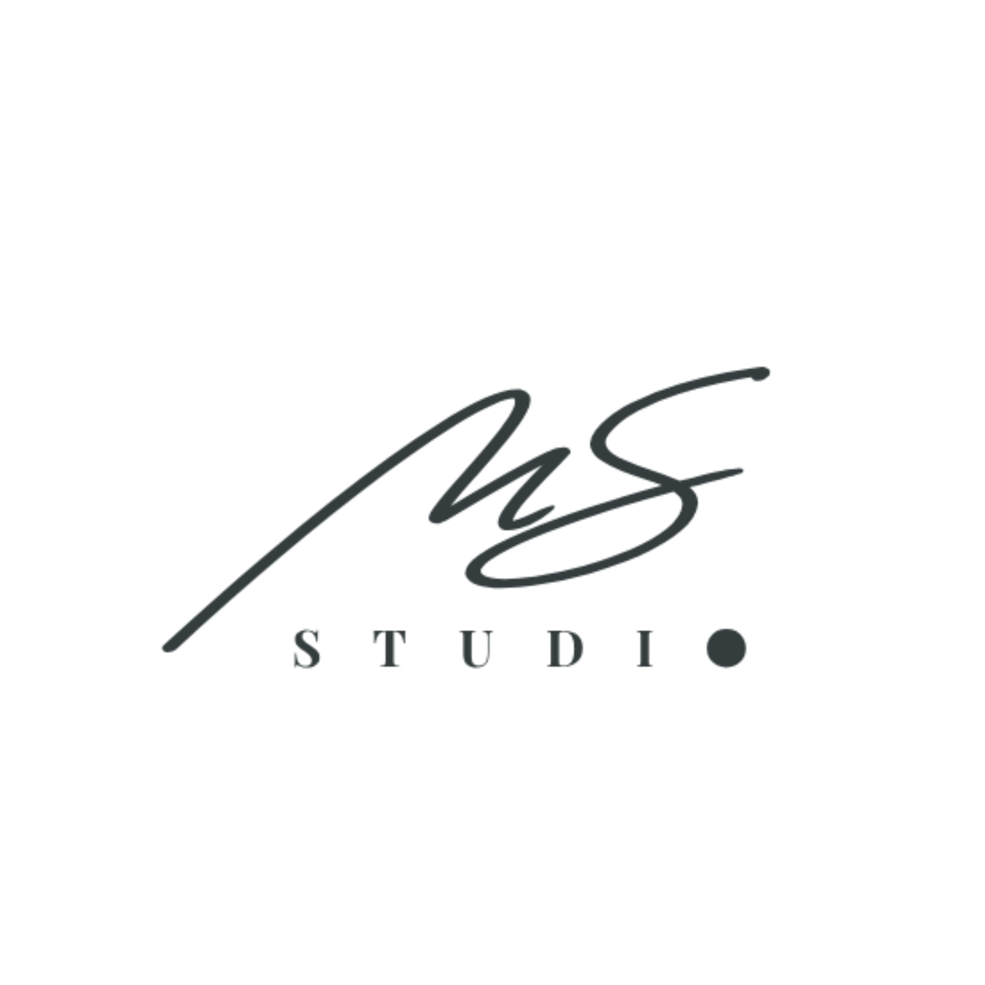 MS Studio